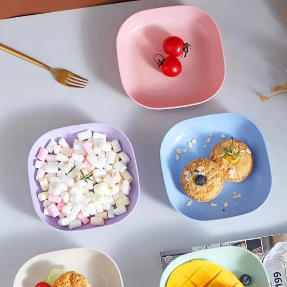 10Pcs Multipurpose Plate set with Holder - Image 4