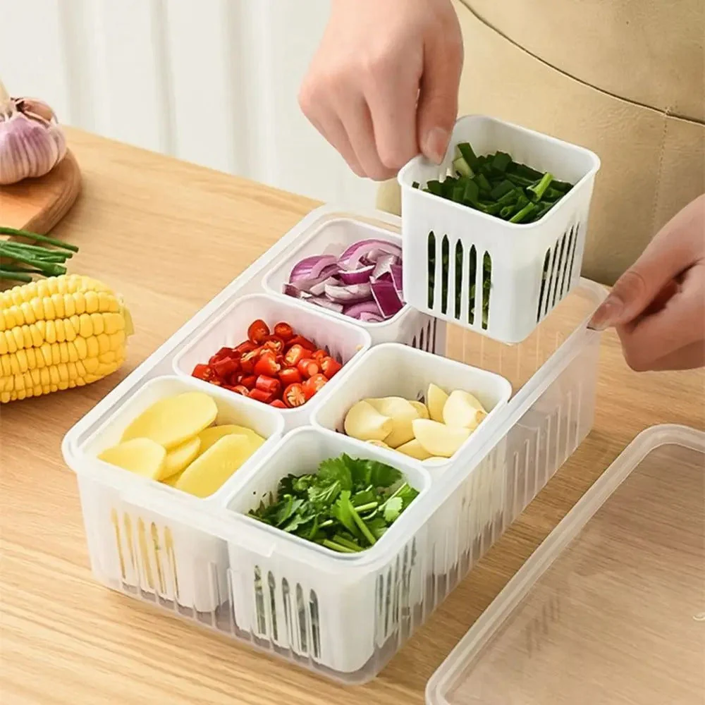 6 Grid Refrigerator drain storage Box - Image 3