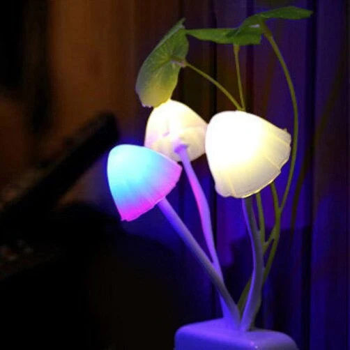 Mushroom LED Sensor Light Night Lamp - Image 3