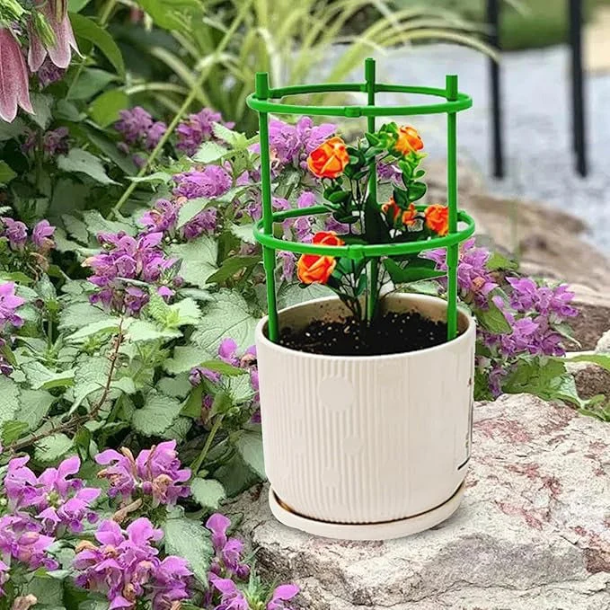 Plant Support Frame Cage - Image 4
