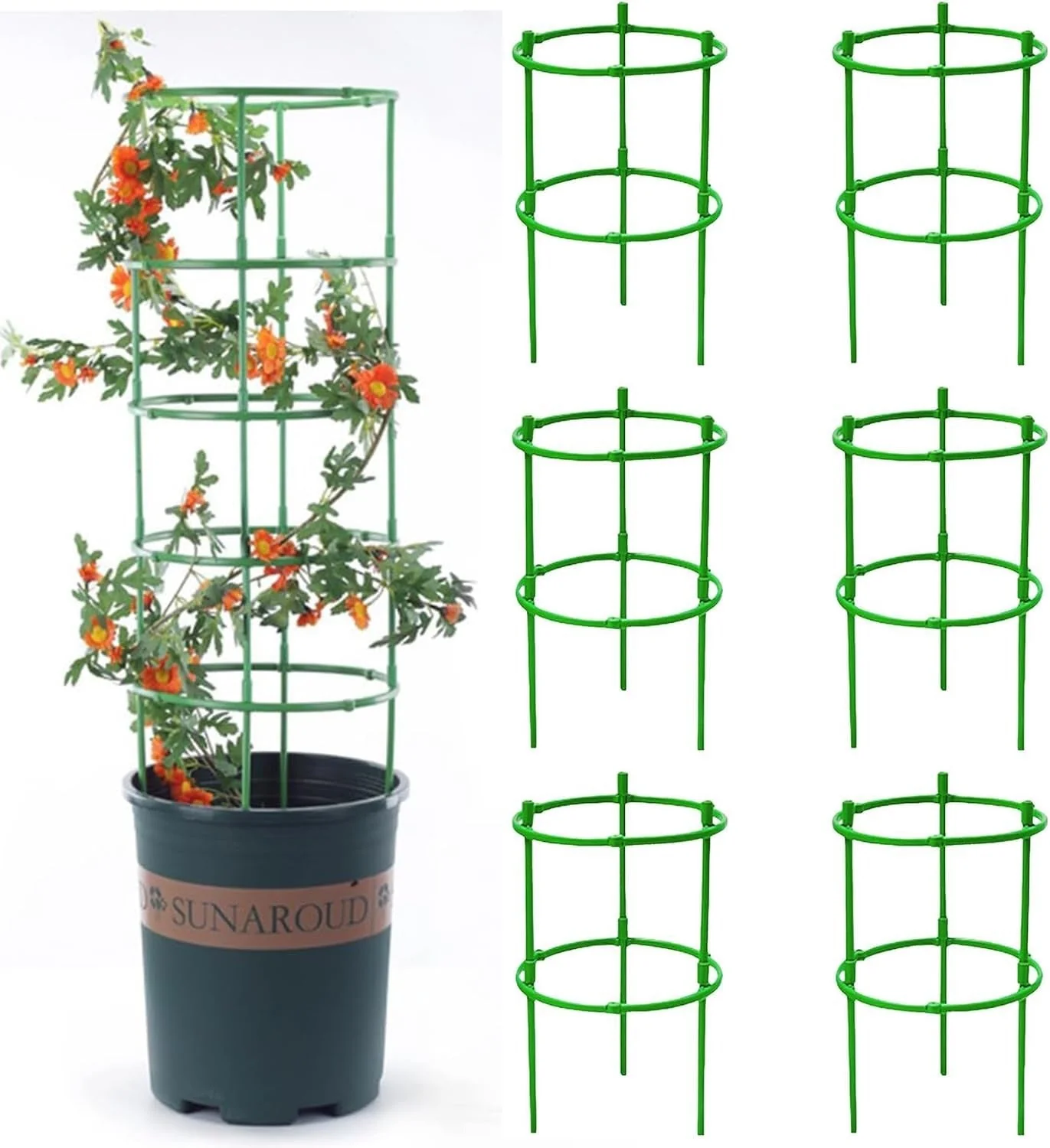 Plant Support Frame Cage - Image 6