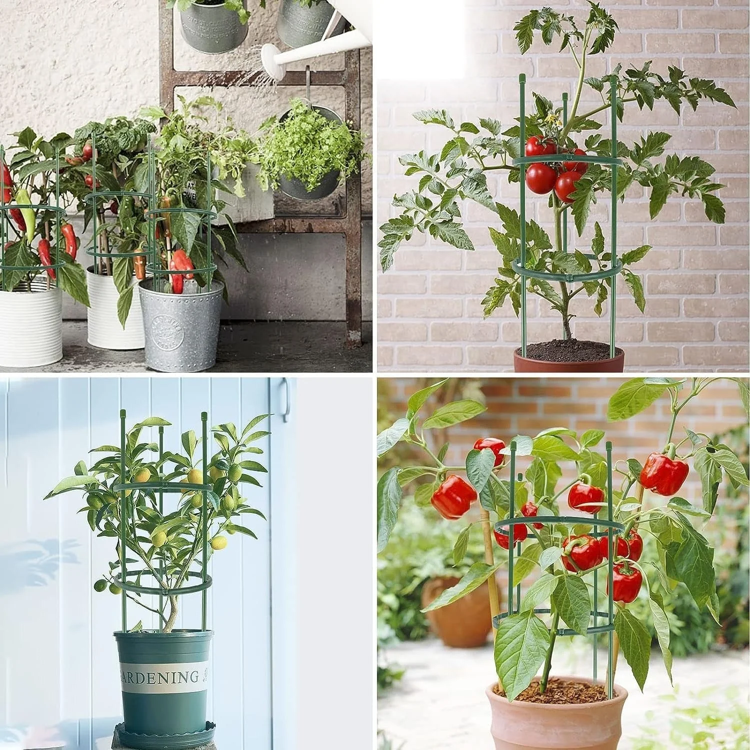 Plant Support Frame Cage - Image 7